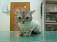 DSCF9424[1]_thumb.png